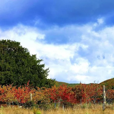 Casa rural Casa De Abril 1 *