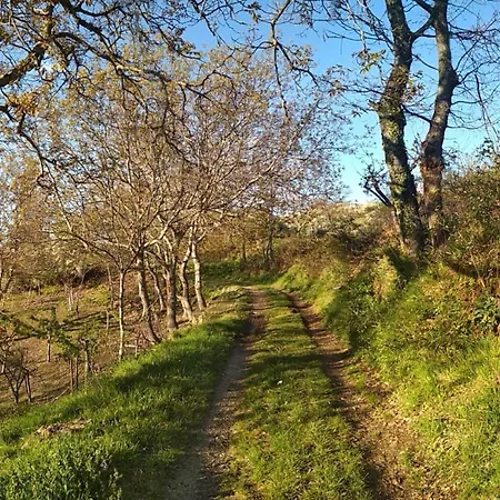 Casa rural Casa De Abril 1