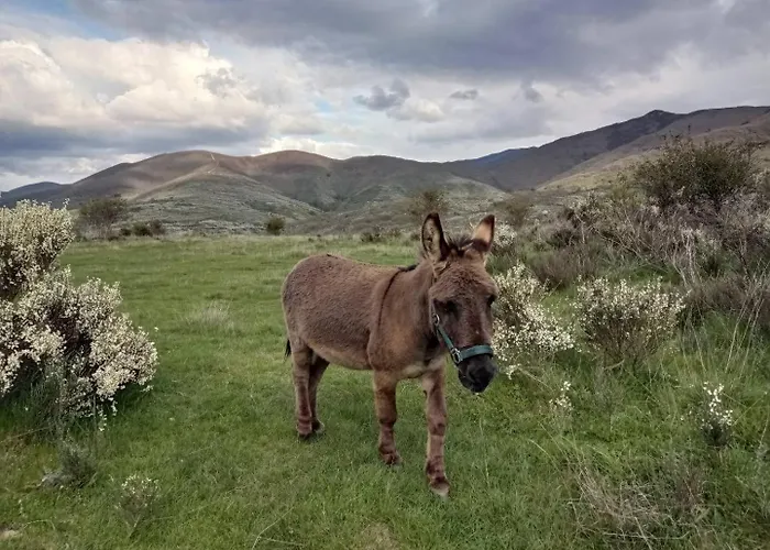 Casa De Abril 1 Séjour à la campagne *