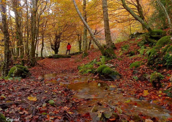 Casa De Abril 1 * San Cristobal de Valdueza